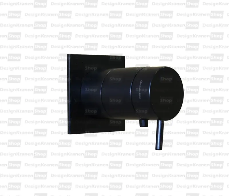 Waterevolution Flow vstavaný sprchový termostat so štvorcovou rozetou matná čierna T142TBPR