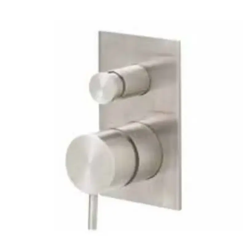 Waterevolution Flow vstavaný sprchový termostat s 2 vývodmi RVS T132TBIE