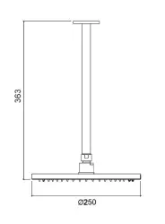 Waterevolution Flow hlavová sprcha 250 mm s montážou na strop, matná čierna, T164225PR