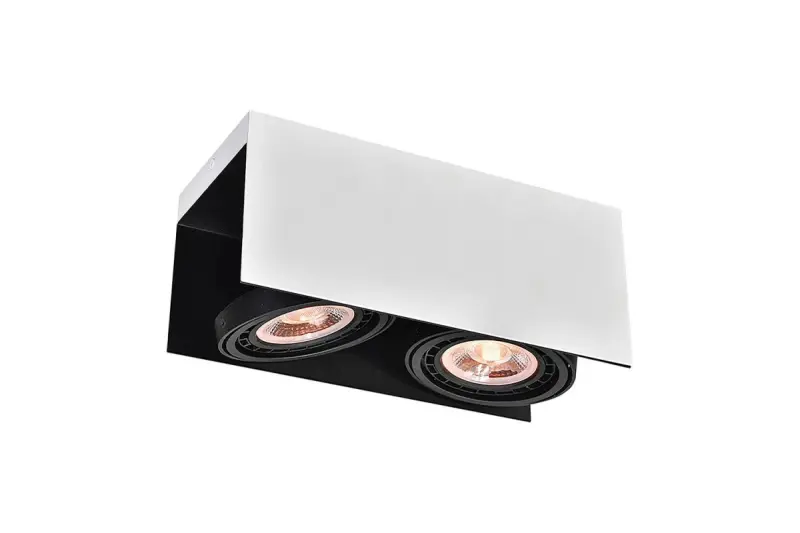 Decor Verso čierno-biela stropná lampa s pohyblivou hlavou 2 svetelné zdroje 4250